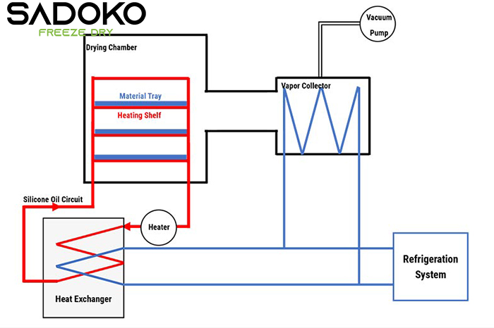 Cấu tạo máy sấy đông khô thương mại