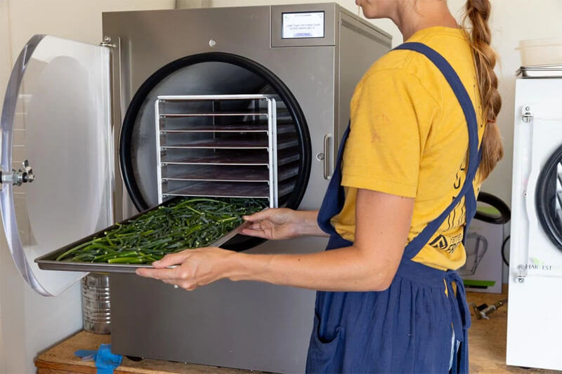 Tìm hiểu các thiết bị hỗ trợ tiết kiệm năng lượng cho máy sấy thăng hoa