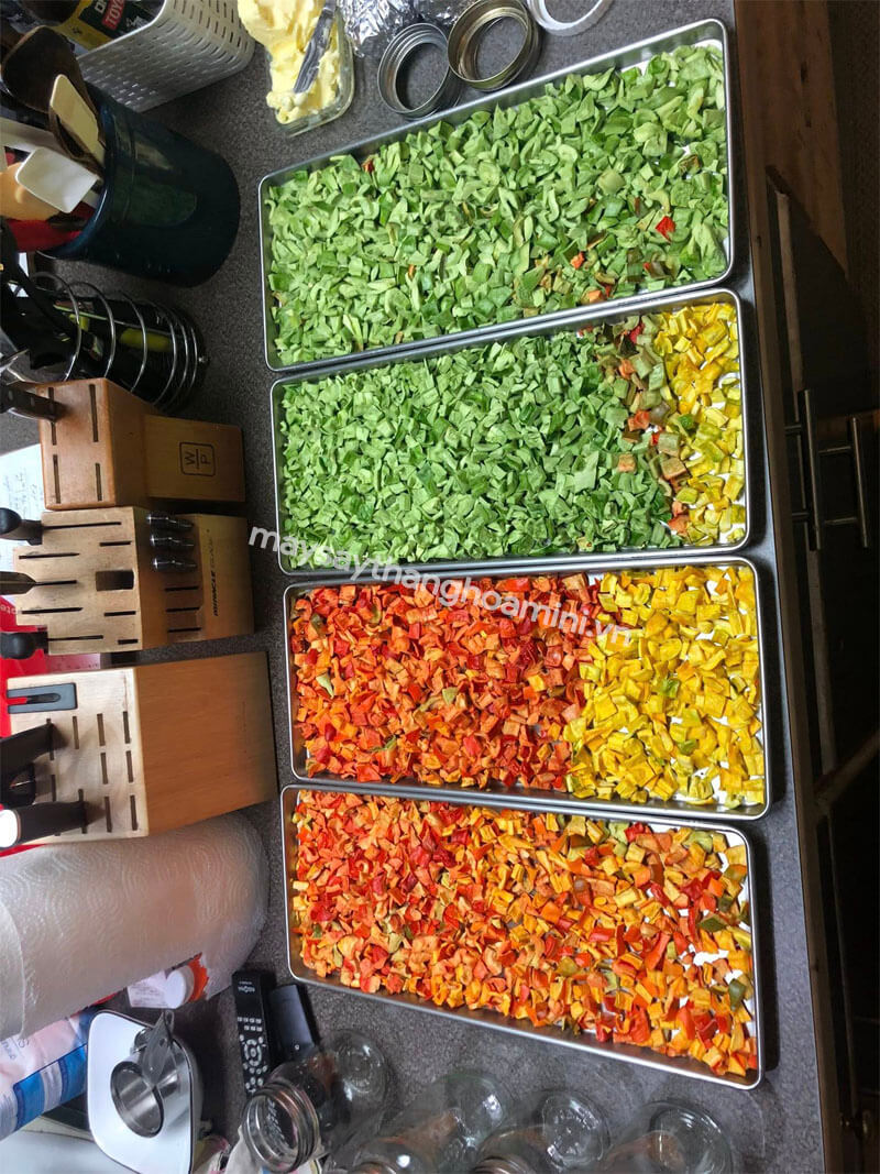 Thực phẩm sấy thăng hoa là gì?