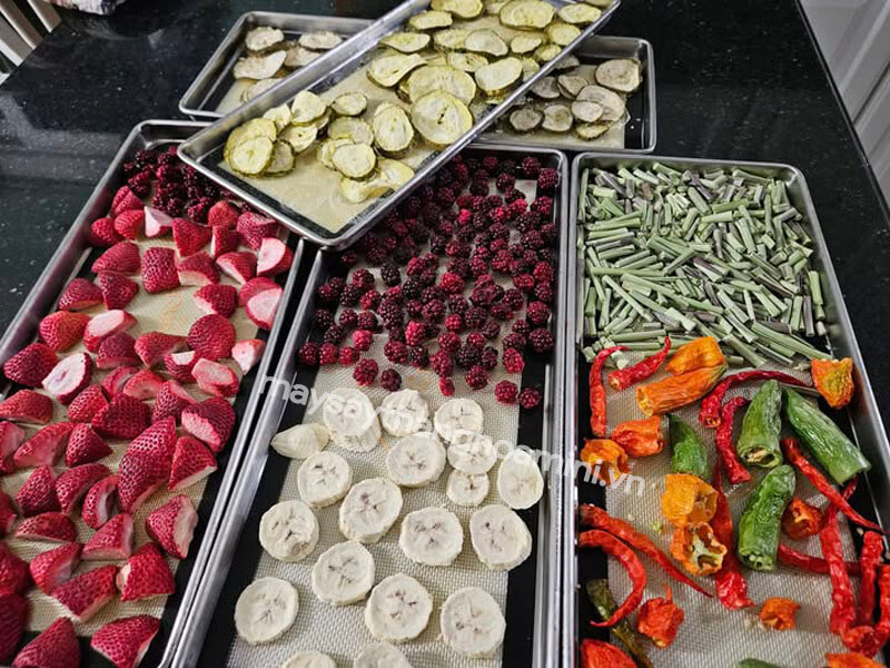 Bảo quản thực phẩm sấy thăng hoa trong điều kiện thời tiết nóng ẩm