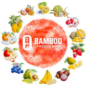 gia công trái cây sấy thăng hoa