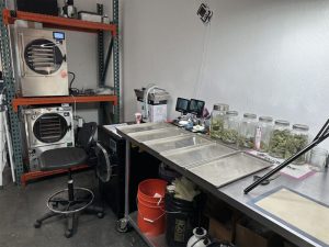 9 Lỗi Thường Gặp Khi Tự Đầu Tư Máy Sấy Thăng Hoa Mini