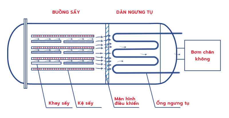 Môi Trường Chân Không