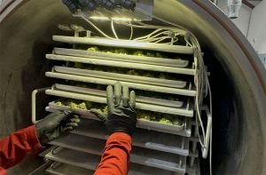 Công nghệ cải tiến giúp giảm chi phí sấy thăng hoa 30-40%