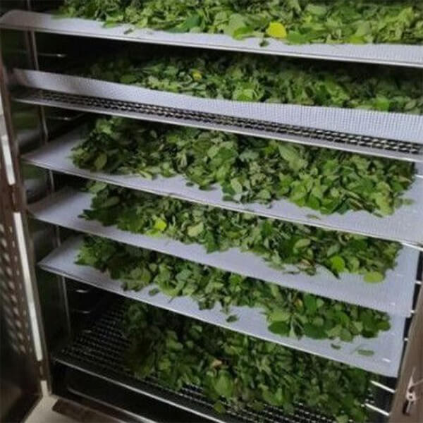 Lợi ích của công nghệ sấy thăng hoa 4.0