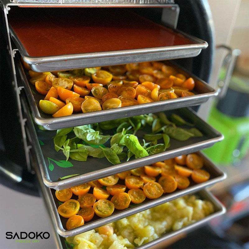Lợi Ích Kinh Tế và Tác Động Toàn Diện công nghệ sấy thăng hoa