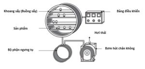 CÔNG NGHỆ “CHUẨN VÀNG” ĐỊNH HÌNH TƯƠNG LAI THỰC PHẨM SẠCH VÀ DINH DƯỠNG