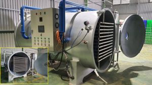 Tại Sao Môi Trường Chân Không Là "Chìa Khóa Vàng" Trong Công Nghệ Sấy Thăng Hoa?