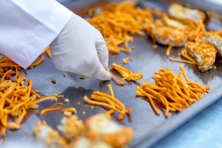 Đông trùng hạ thảo sấy thăng hoa giữ nguyên hình dáng