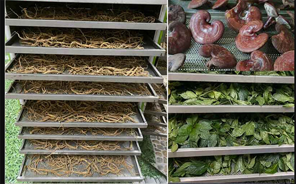 công nghệ sấy dược liệu