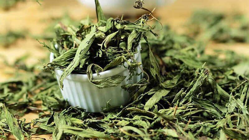 cách bảo quản dược liệu đông y