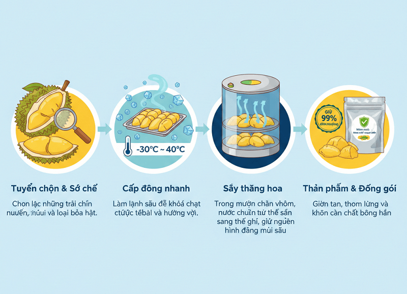 Quy Trình Sấy Thăng Hoa Sầu Riêng Chuẩn Xuất Khẩu