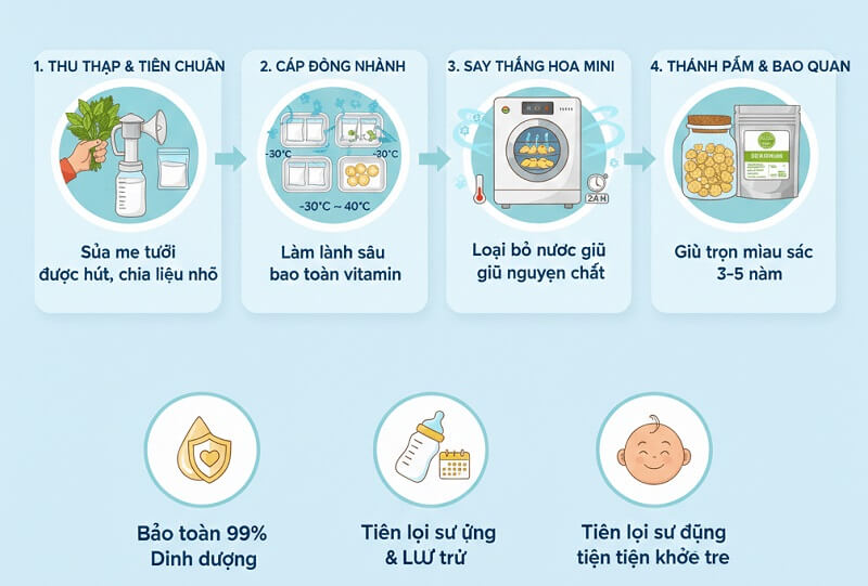 Sấy thăng hoa sữa mẹ: Giải pháp lưu trữ dinh dưỡng hiện đại