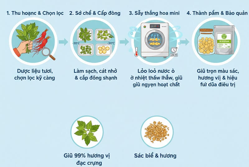 Ứng dụng máy sấy thăng hoa mini trong bảo tồn dược liệu quý